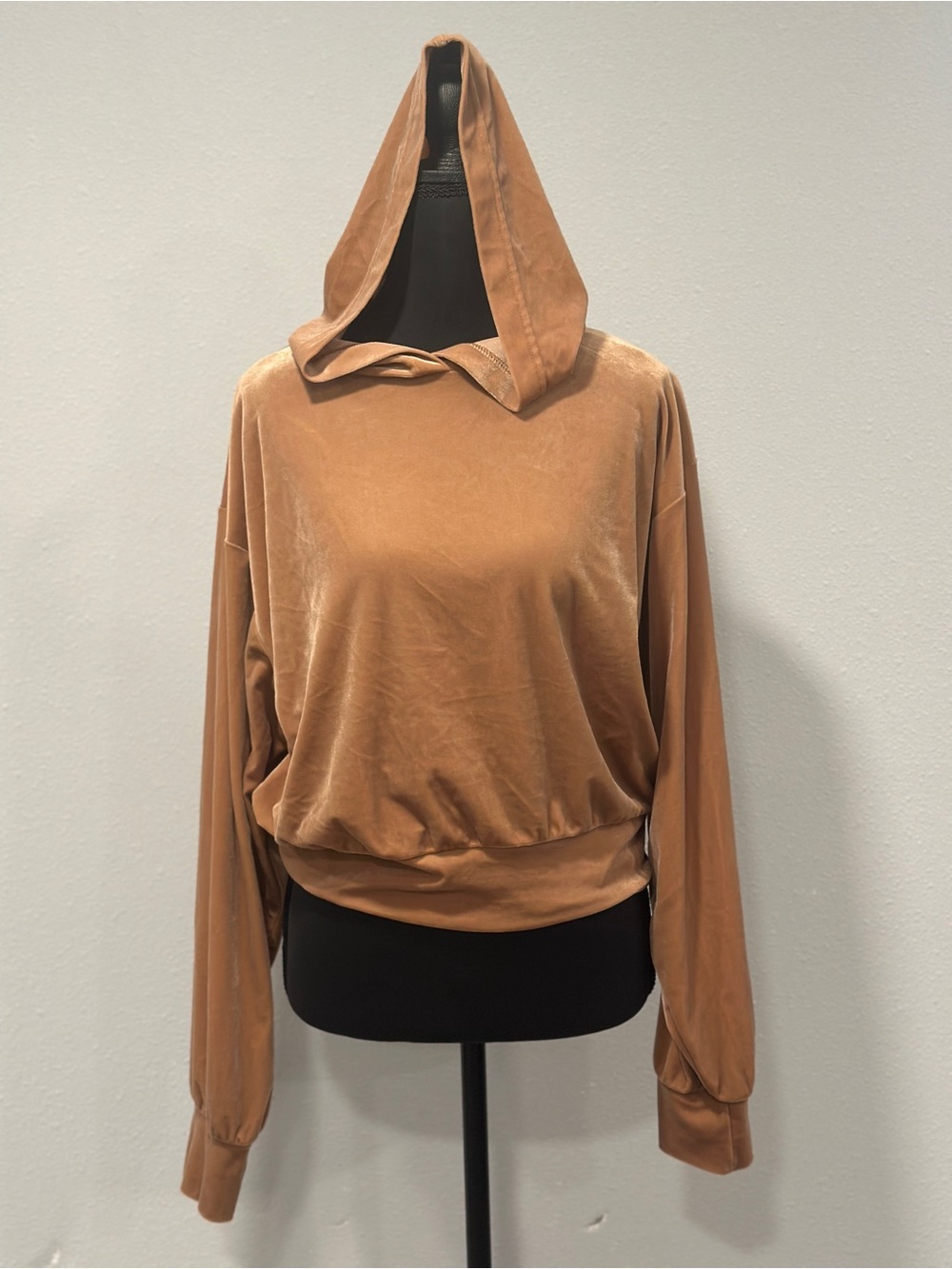 Express Velvet Hooded Sweatshirt in Camel Brown